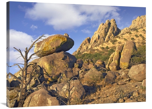 Global Gallery GCS-396342-3040-142 30 x 40 in. Rockpile, Davis Mou