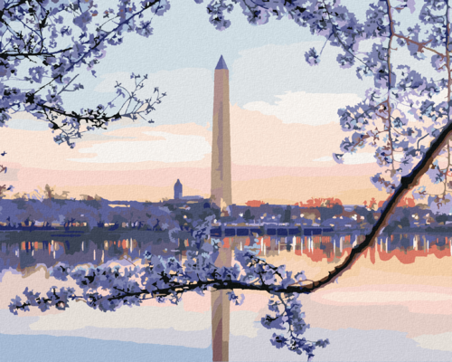 Paint by Numbers - FLOWERING TREE WASHINGTON MONUMENT (TED DAVIS)
