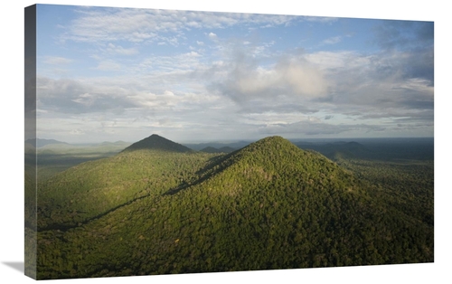 Global Gallery GCS-397930-2030-142 20 x 30 in. Rainforest & Kanuku Mou