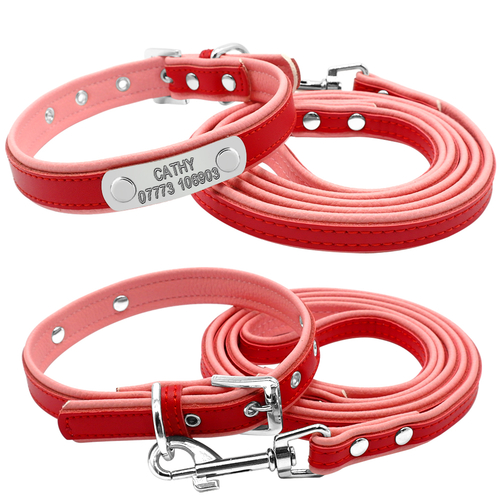Personalized Dog Collar and Leash Padded