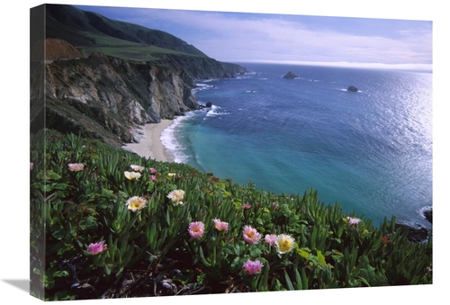 Global Gallery GCS-396774-1824-142 18 x 24 in. Ice Plant or Hottentot 