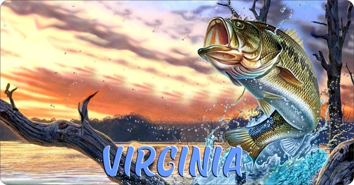 License Plate Travel Poster Art Bass Fishing Virginia