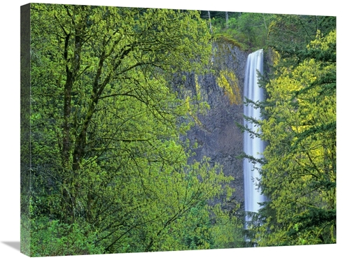 Global Gallery GCS-396521-2228-142 22 x 28 in. Latourell Falls, Co