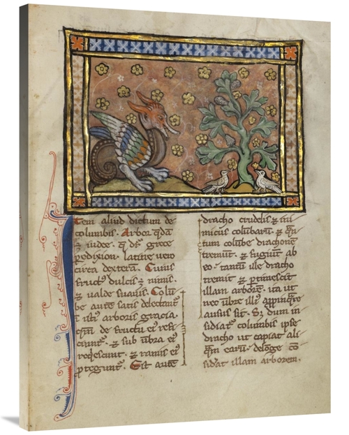 Global Gallery GCS-454759-3040-142 30 x 40 in. A Dragon Charging Two D