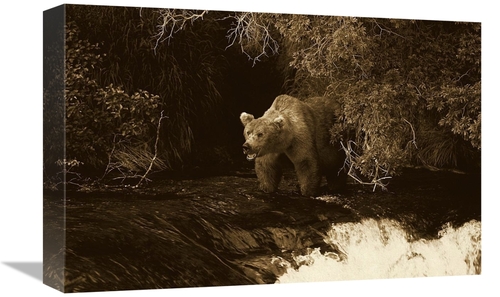 Global Gallery GCS-453698-1218-142 12 x 18 in. Grizzly Bear Fishing&#4