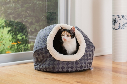 Main AeroMark International C44 Armarkat Cat Bed, Blue Checkered image