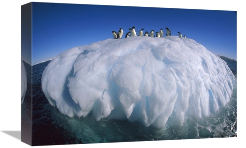 Global Gallery GCS-397789-1218-142 12 x 18 in. Adelie Penguin Group Ri