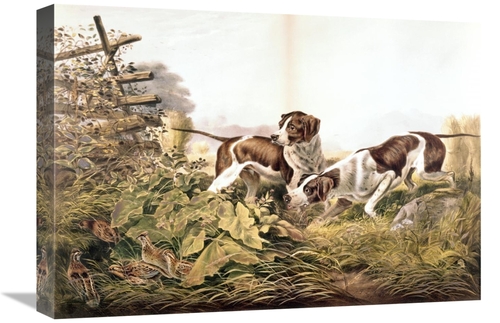 Global Gallery GCS-277161-22-142 22 in. American Field Sports On a Poi