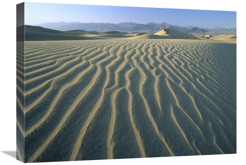 Global Gallery GCS-396650-1824-142 18 x 24 in. Mesquite Flat Sand Dune