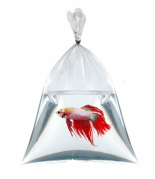 Pack of 1000 Leak Proof Bags with EVA Additive 6 x 12. Polyethylene