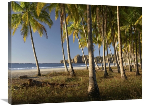 Global Gallery GCS-452184-2432-142 24 x 32 in. Palms At Playa Carrillo