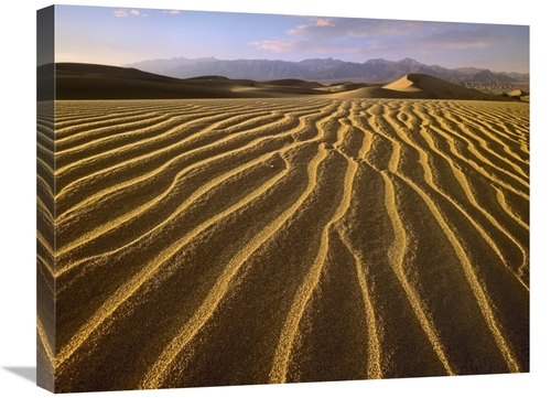 Global Gallery GCS-452222-1824-142 18 x 24 in. Sand Dunes, Death V