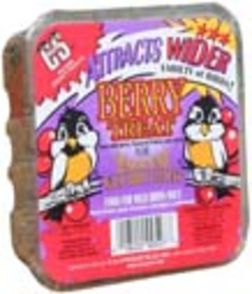 C & S Products Berry Suet Treat 11.75 Ounces - CS12527
