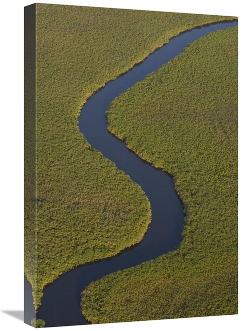 Global Gallery GCS-397906-1624-142 16 x 24 in. Papyrus Swamps & Channe