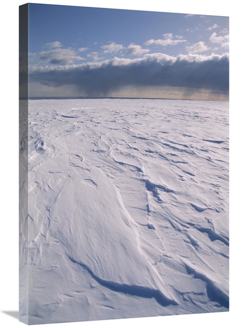 Global Gallery GCS-451548-2030-142 20 x 30 in. Ross Ice Shelf, Ros