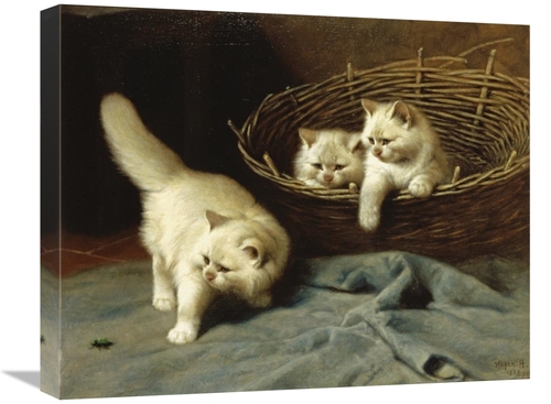 Global Gallery GCS-268097-22-142 22 in. White Angora Kittens with a Be