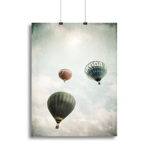 Freedom Canvas Print or Poster