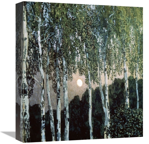 Global Gallery GCS-282135-16-142 16 in. Birch Trees Art Print - Aleksa
