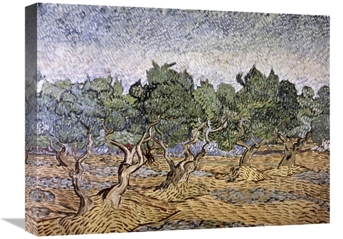 Global Gallery GCS-281283-22-142 22 in. Olive Orchard, Violet Soil