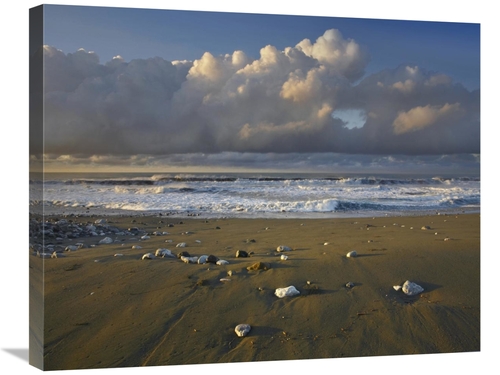 Global Gallery GCS-396367-2228-142 22 x 28 in. Beach & Waves, Corc