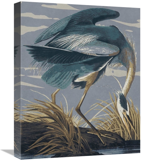 Global Gallery GCS-394762-1620-142 16 x 20 in. Audubon Decor - Great B