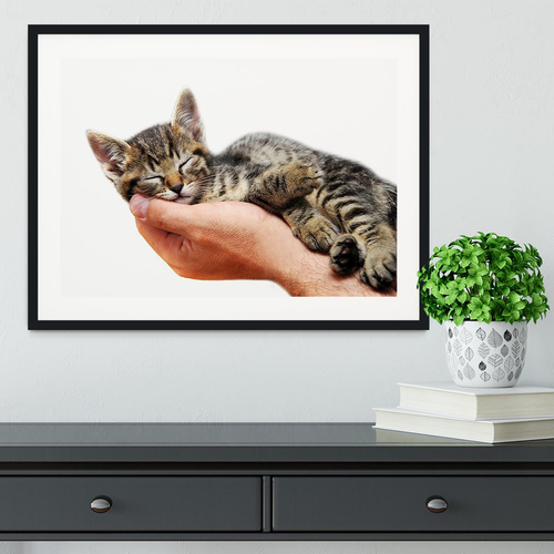 Little baby cat sleeping in male arms Framed Print