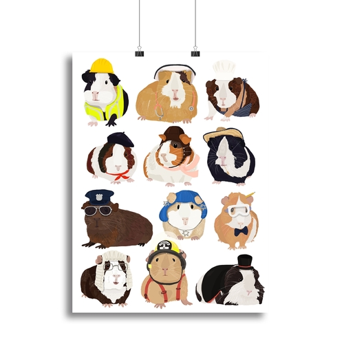Guinea Pig Working Hr Canvas Print or Poster