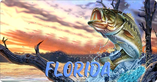 License Plate Travel Poster Art Bass Fishing Florida
