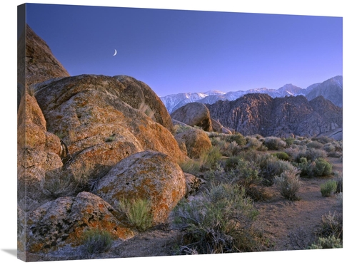 Global Gallery GCS-452163-2835-142 28 x 35 in. Crescent Moon Rising Ov