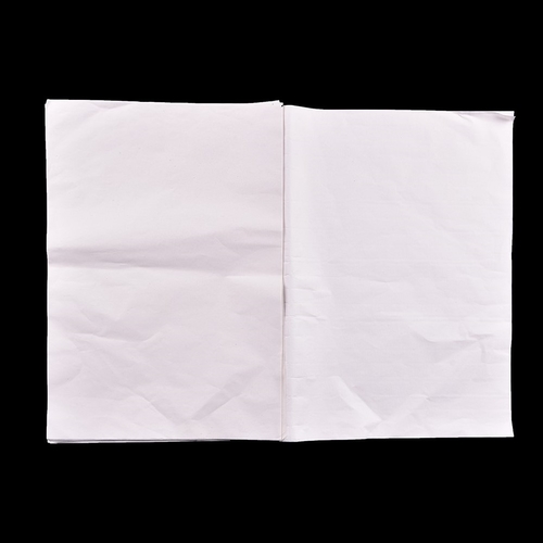 30 Pcs 27*39cm Xuan Paper Chinese Raw Rice Paper