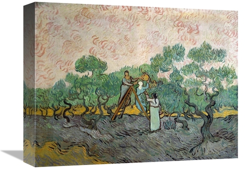 Global Gallery GCS-281329-16-142 16 in. Women Picking Olives Art Print