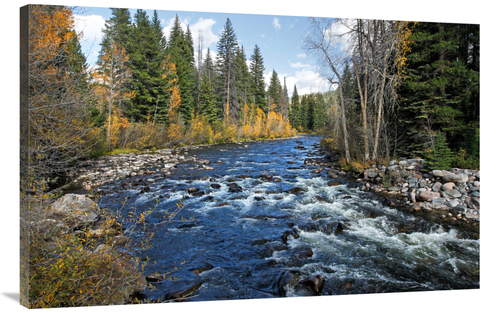 Global Gallery GCS-486629-44-142 44 in. The Elk River Art Print - Vic 