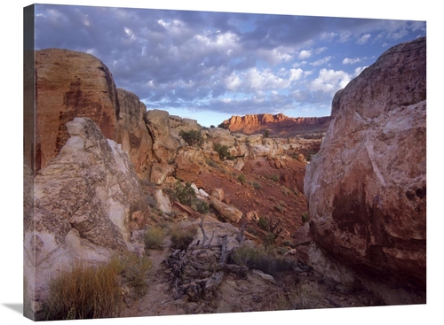 Global Gallery GCS-396193-2432-142 24 x 32 in. Meeks Mesa, Capitol