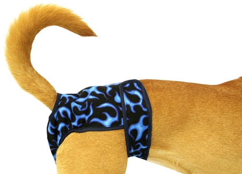 Seasonals 41212BFL Washable Male Dog Belly Band, Blue Flames - Med