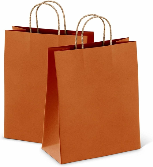 Orange Shopping Bags Bulk Pack of 25 Large Paper Bags 8 x 4.75 x 10.5