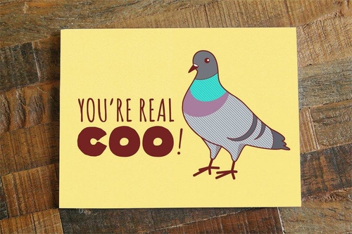 Funny Greeting Card "You're Real Coo" Pigeon