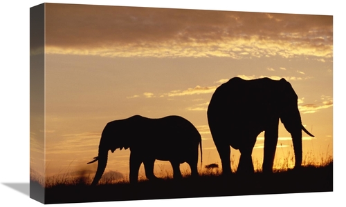 Global Gallery GCS-396588-1218-142 12 x 18 in. African Elephant Mother