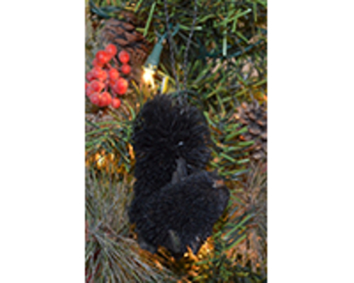 Brushart BRUSHOR107 Squirrel Black Imaginative Gifts