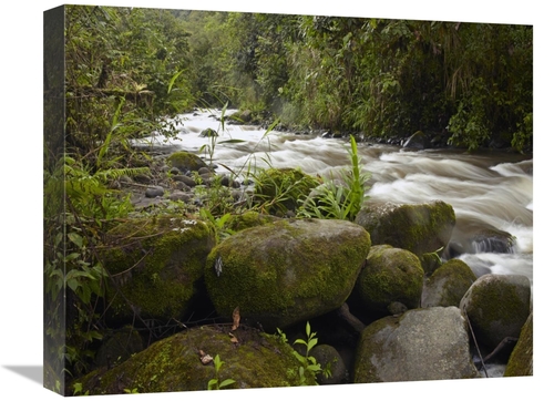 Global Gallery GCS-396289-1620-142 16 x 20 in. Mindo River Flowing Thr