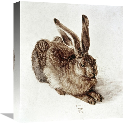 Global Gallery GCS-281998-16-142 16 in. The Young Hare Art Print - Alb
