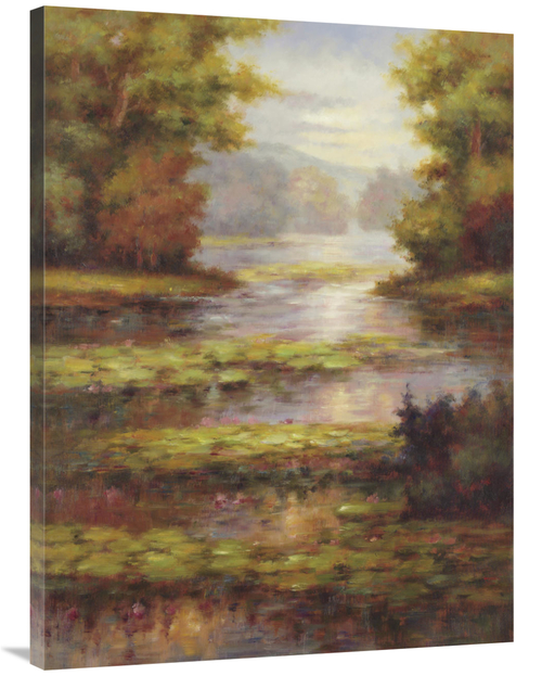 Global Gallery GCS-130629-3040-142 30 x 40 in. Lily Pond Art Print - P