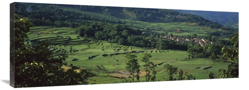 Global Gallery GCS-453061-44-142 44 in. Rice Terraced Fields, Chin