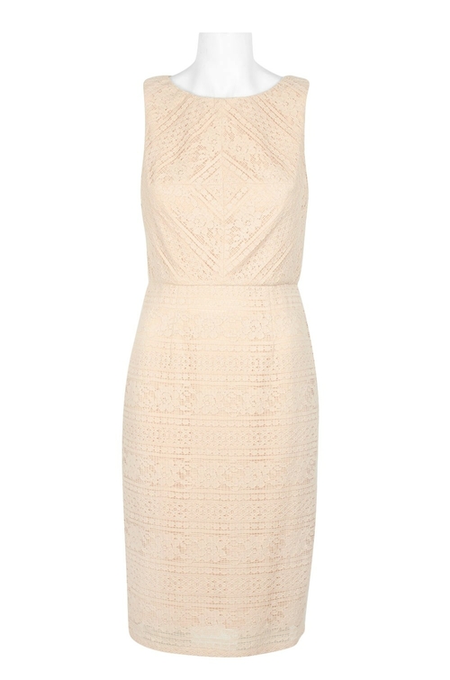 Adrianna Papell Boat Neck Sleeveless Zipper Back Slit Back Lace Dress