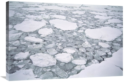 Global Gallery GCS-451549-2436-142 24 x 36 in. Sea Ice, Pancake Ic