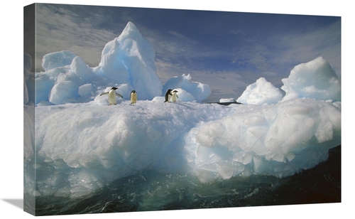 Global Gallery GCS-453464-1624-142 16 x 24 in. Adelie Penguin Group on
