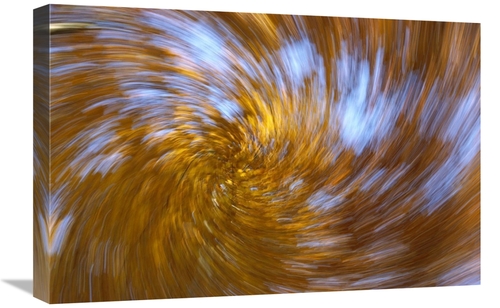 Global Gallery GCS-398487-1624-142 16 x 24 in. European Beech Abstract