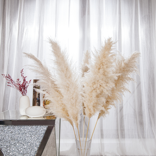 Natural Cream Pampas Grass 120cm 5 stems Tall Decor Light Beige Pampas
