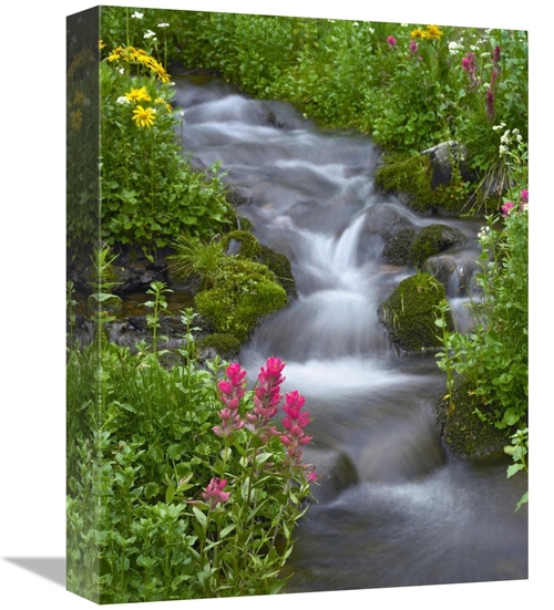 Global Gallery GCS-452173-1216-142 12 x 16 in. Orange Sneezeweed & Ind