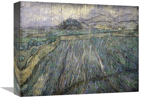 Global Gallery GCS-281318-16-142 16 in. The Storm Art Print - Vincent 