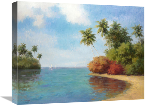 Global Gallery GCS-131226-1620-142 16 x 20 in. Coco De La Playa Art Pr